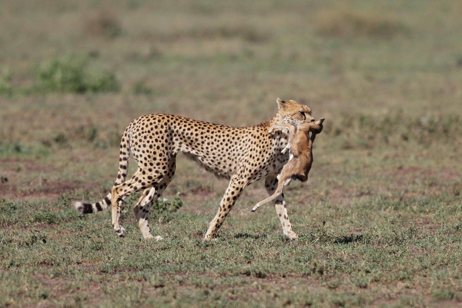 Blog image